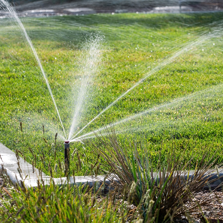 how much should a lawn irrigation system cost