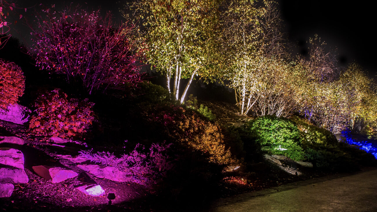 WAC Lighting Colorscaping Outdoor Lighting Kits