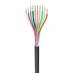 Regency Wire 250' 18-10 10-Strand Muti-Color Black Irrigation Wire Roll (18-100)