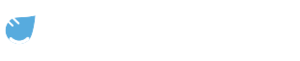 BigIrrigation.com logo