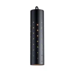 FX Luminaire VEZDCPSFB VE ZDC RGBW Down Light Perforated Sleeve Flat Black