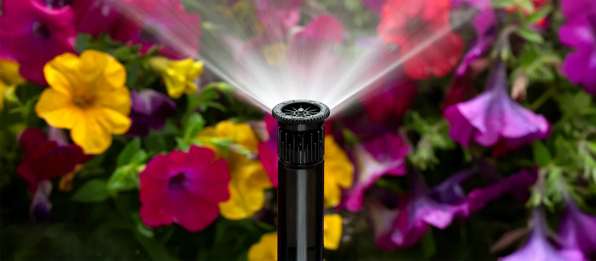Hunter PS Ultra HE spray sprinkler head in action with colorful flowers in background