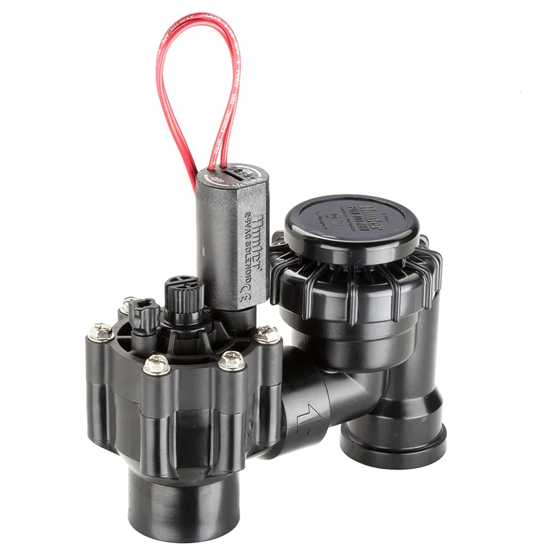 Hunter Irrigation PGV 3/4 in Anti-Siphon Valve Threaded (42593)