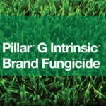 BASF Pillar G Intrinsic Fungicide - 30 lb.Bag (59012784)