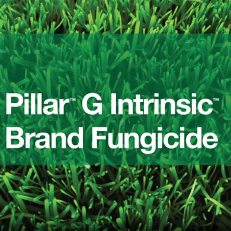 BASF Pillar G Intrinsic Fungicide - 30 lb.Bag (59012784)