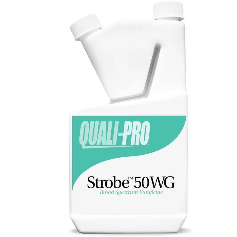 Control Solutions Strobe 50 WG Fungicide - 1 lb. Jug (83000002)
