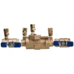 Febco 1 in 850 Double Check Backflow Assembly (T1113)