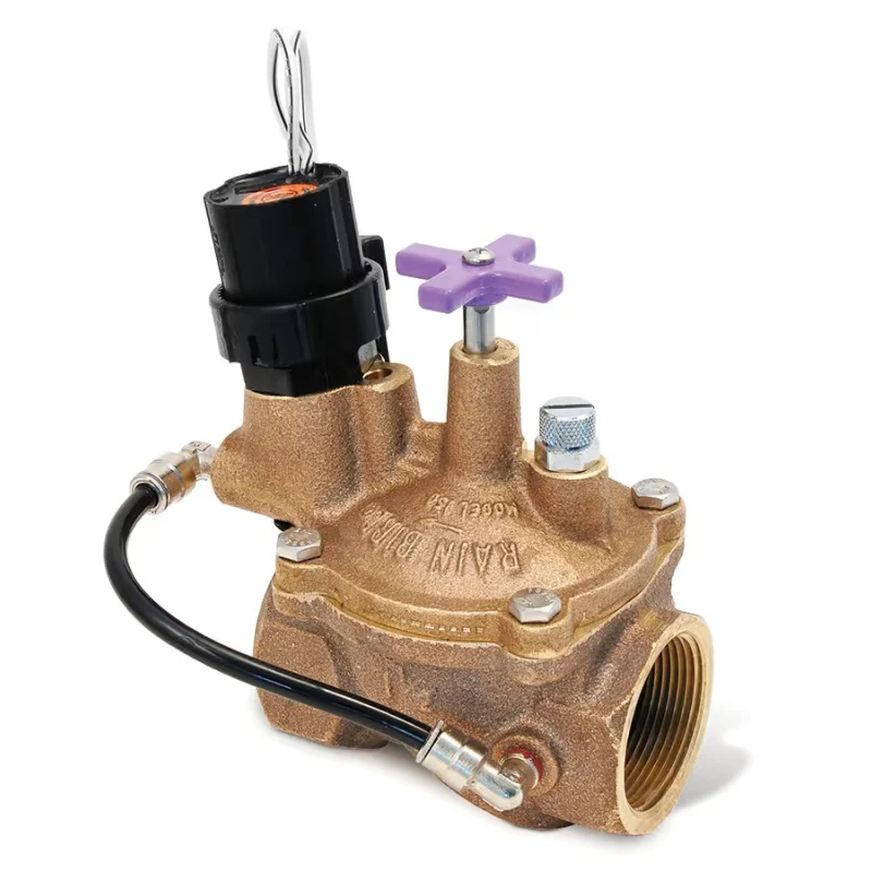 Rain Bird Globe Valve Brass 2 in. w/ Flow Control (IVM200EFB)