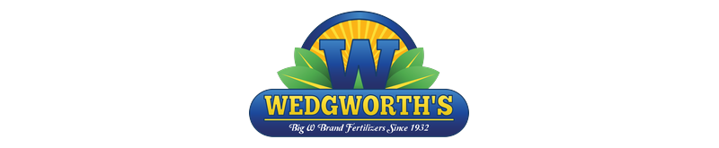 Wedgworth's logo