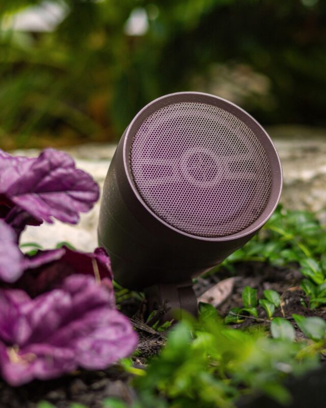 Vista Professional Outdoor Lighting — pro pricing, free shipping 3 Vista Pro Lighting — Vista in the planting bed