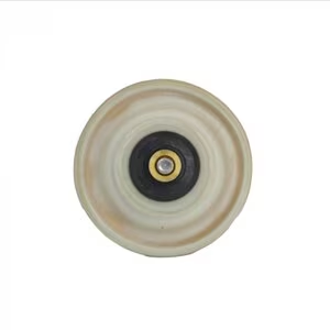 Weathermatic 45-10DSA diaphragm assembly for a 1 inch Black Bullet valve