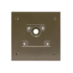 FX Luminaire Double-Gang Wall Plate (No Light), Flat Black (WP-2G-NL-FB)