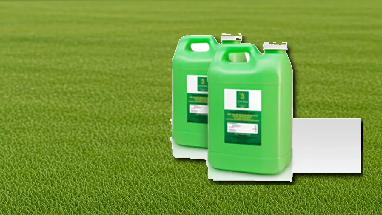 CIVITAS products