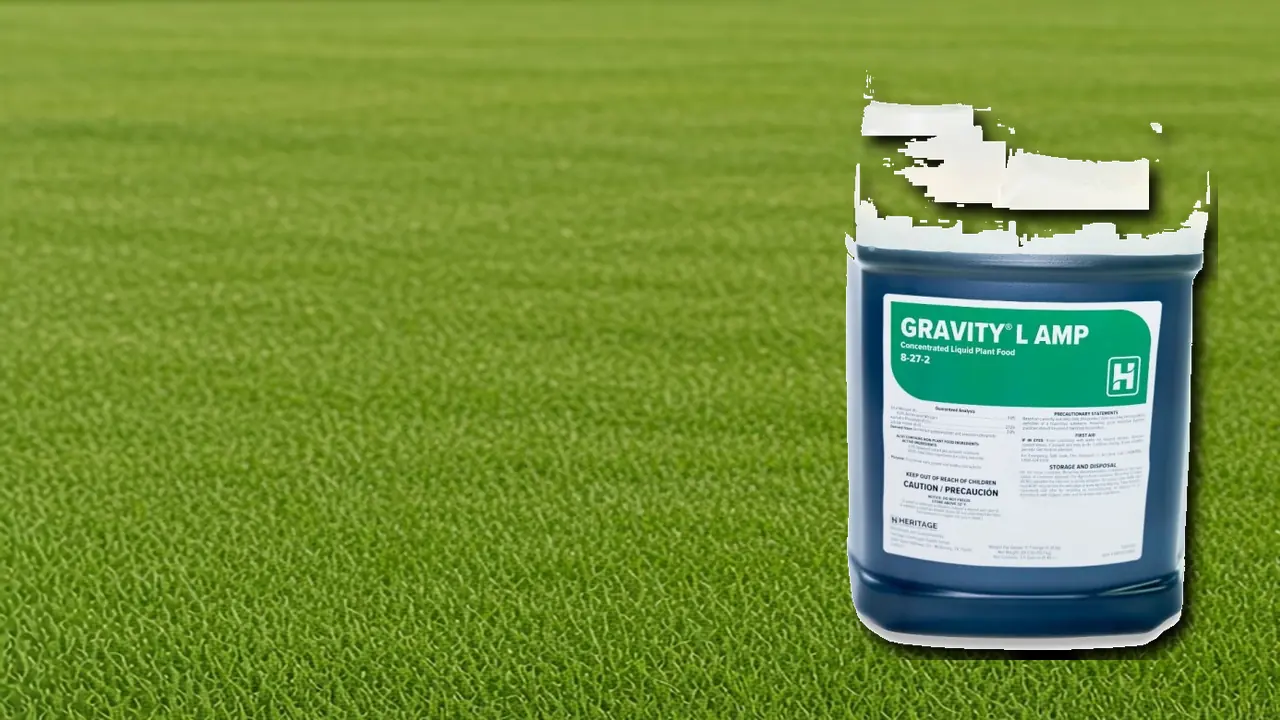 Gravity L products