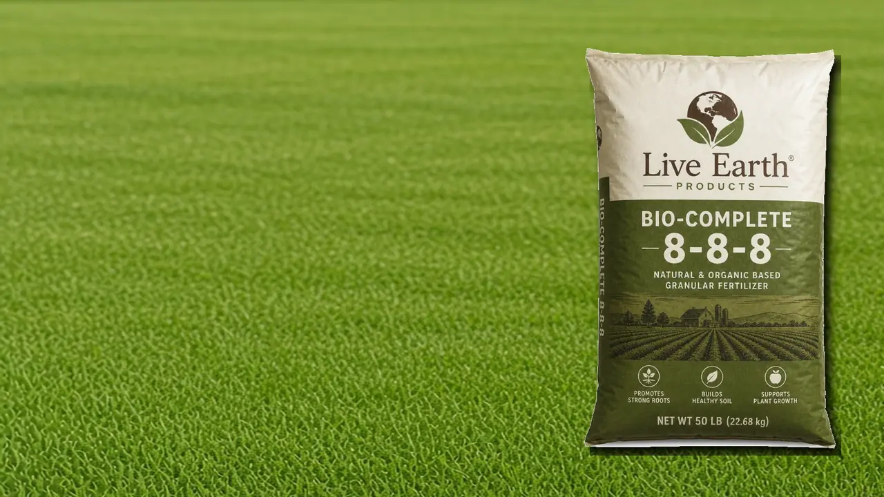 Live Earth products