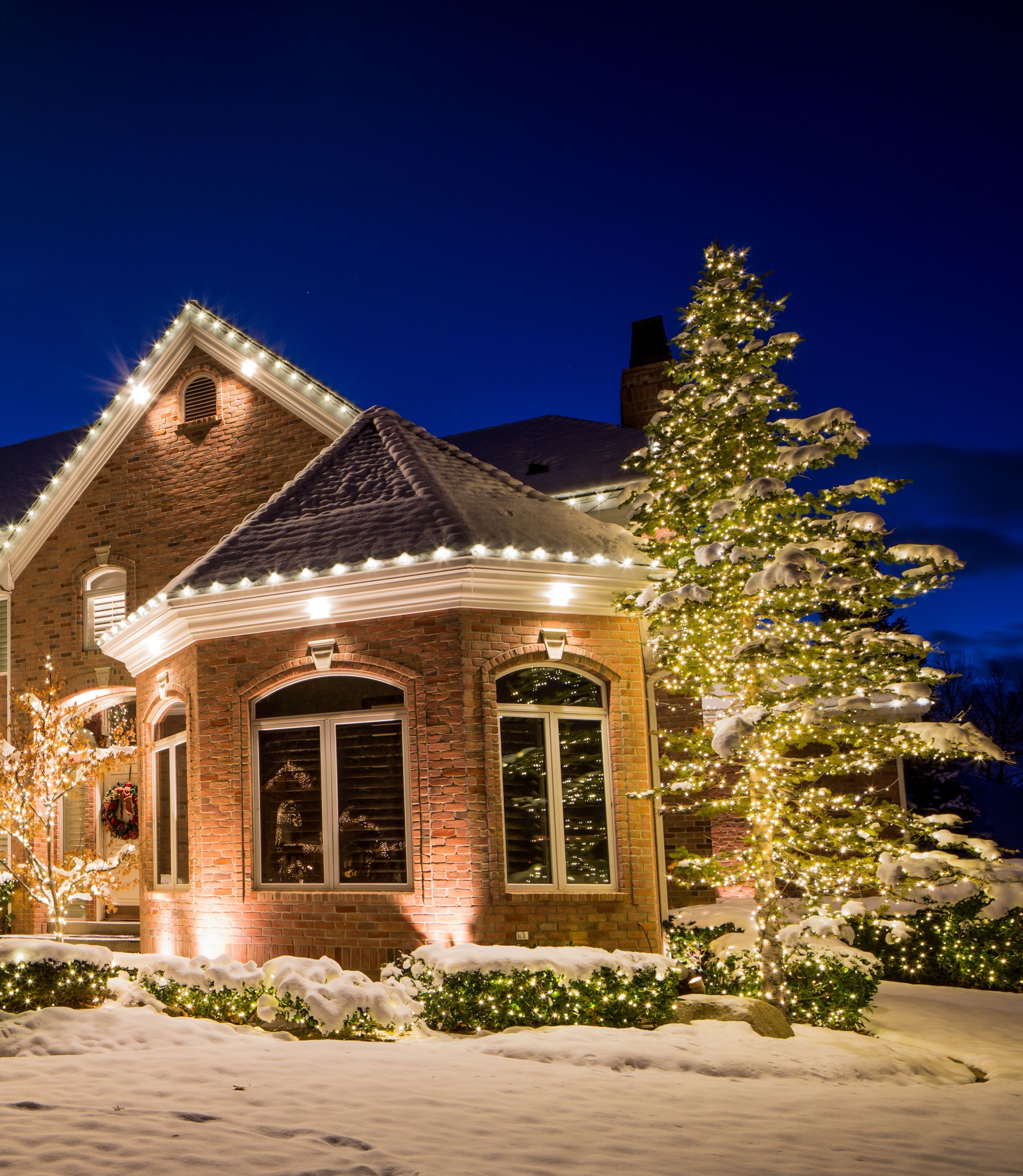 Warm white holiday lights along a brick house roof, hedges, and a snow-covered evergreen